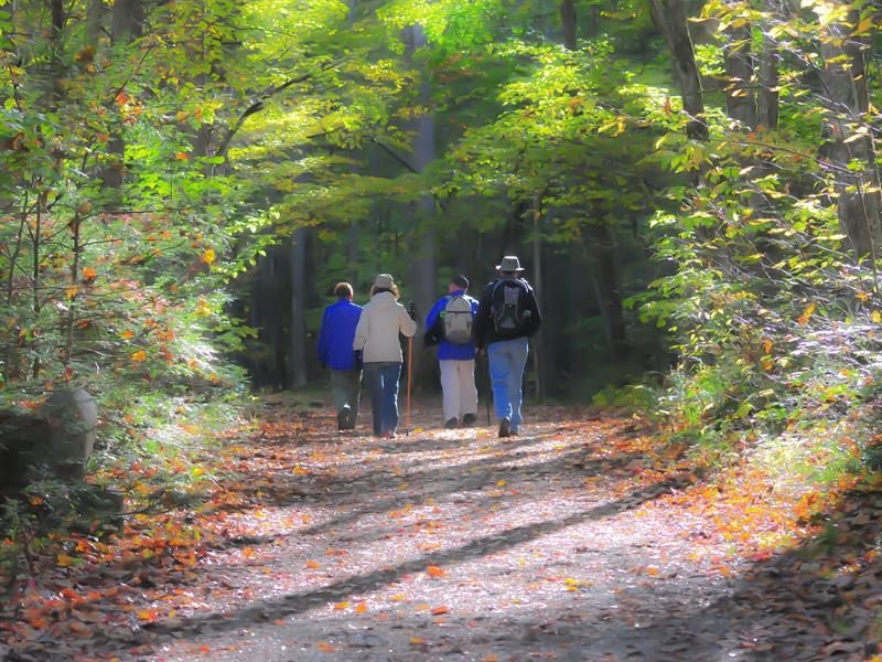 Sortie avec le Club Vosgien du Kochersberg : Saessolsheim
