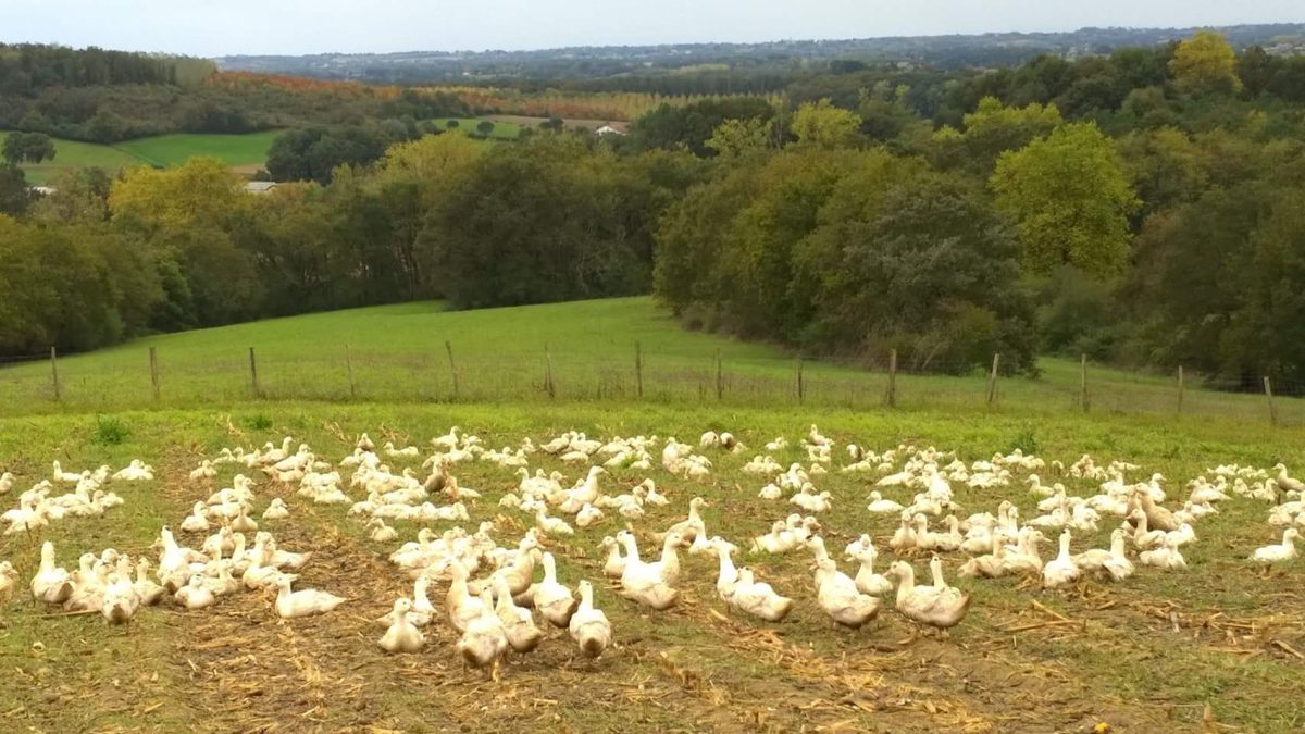Ferme des Eschourdes