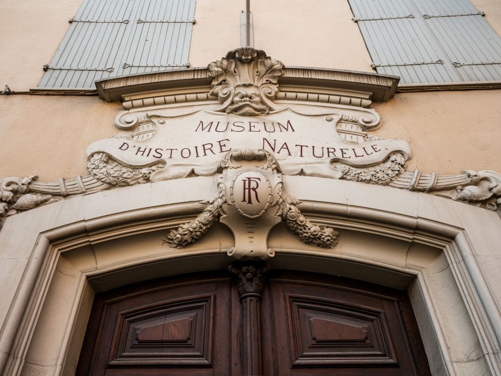 MUSEUM D'HISTOIRE NATURELLE