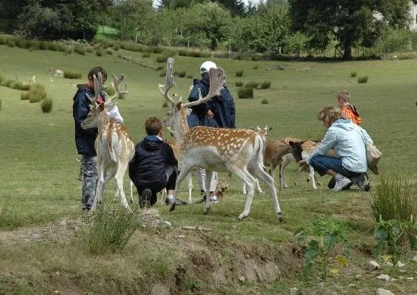 La Vallée des Daims