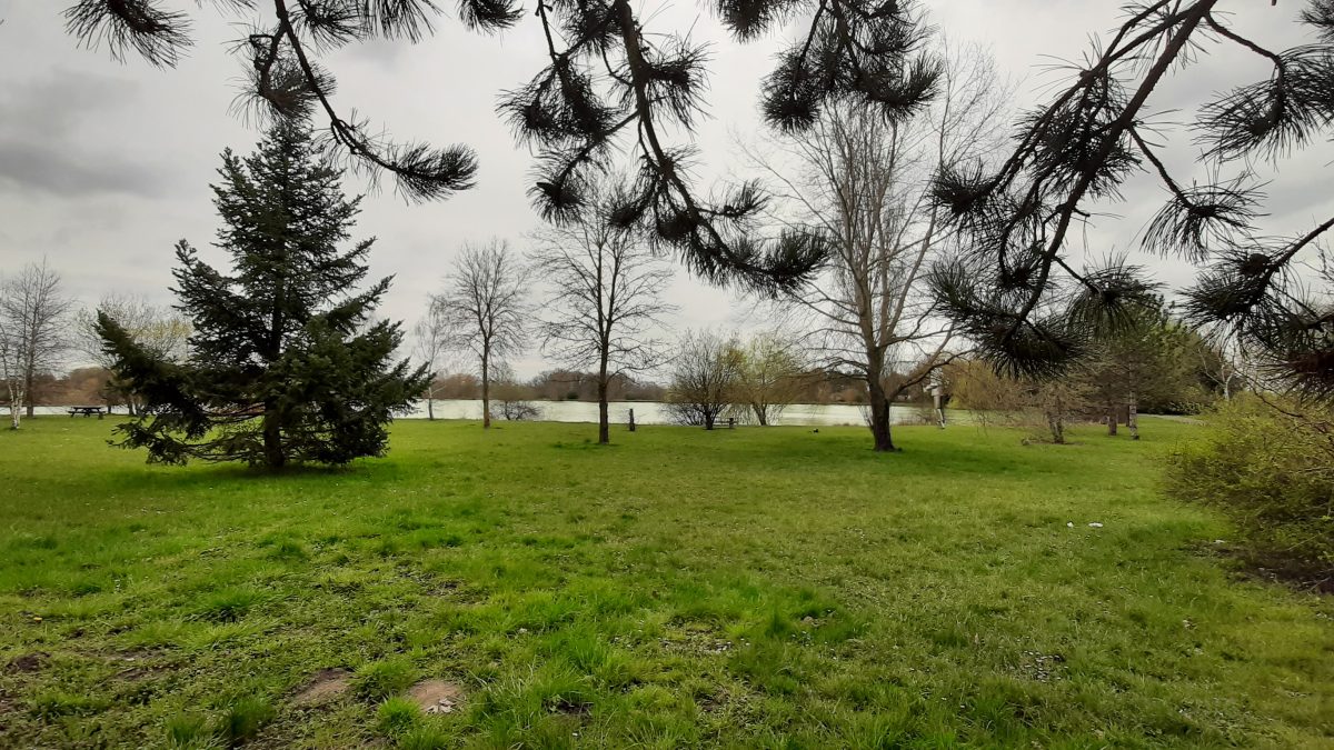 Site de Bellevue