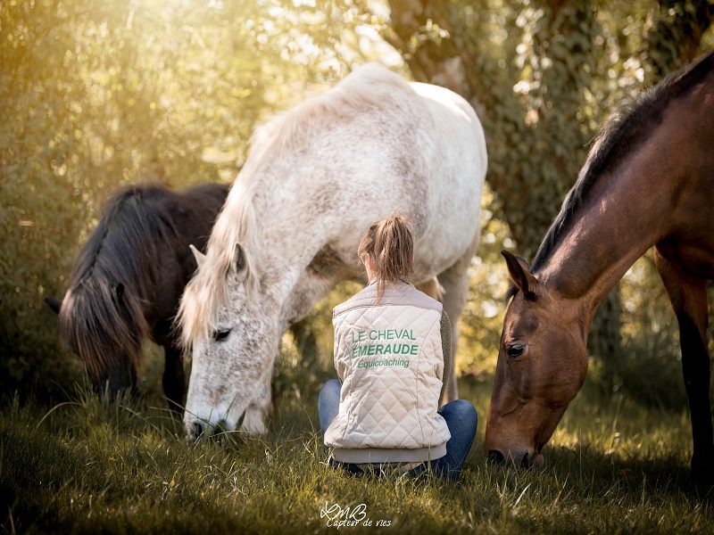 Le Cheval Emeraude
