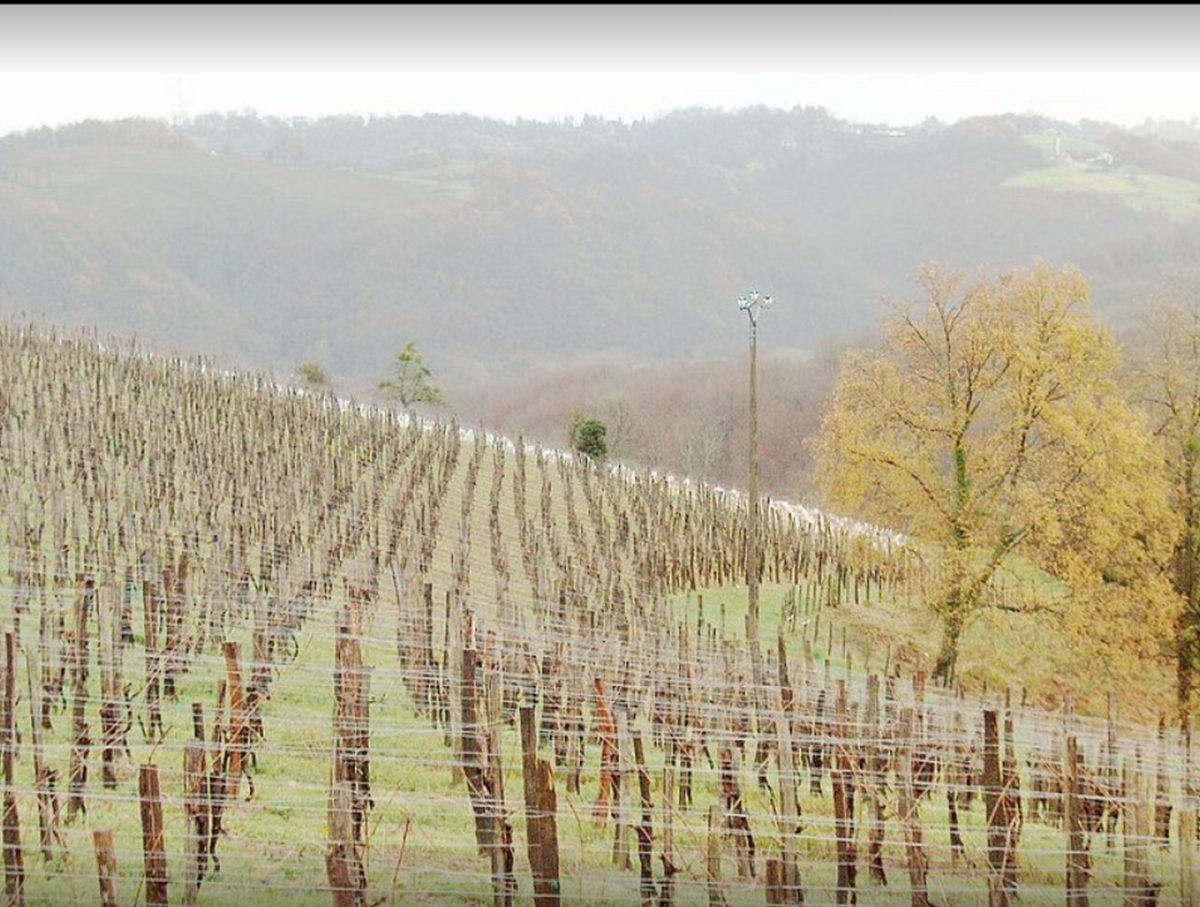 Domaine Bousquet