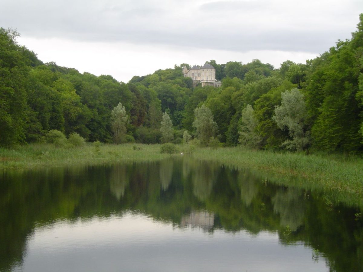 Parc du Château de Reynel