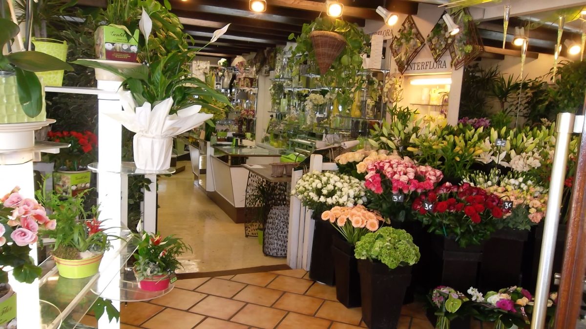 Gentil Flor