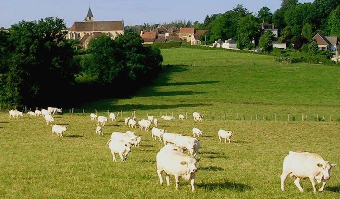 Les Cageots Poyaudins - AMAPP