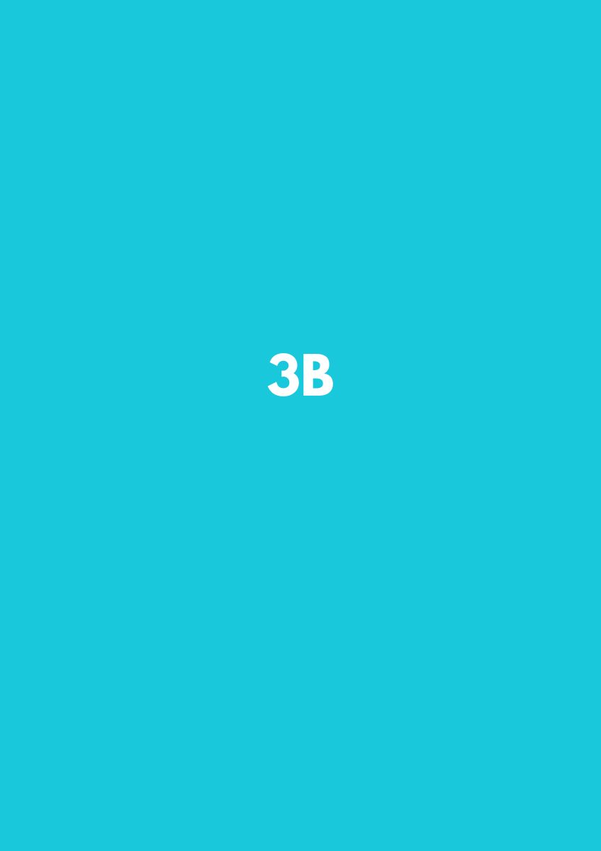 3 B