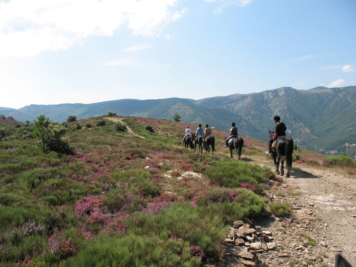 LA CAVALE DU VENTALON