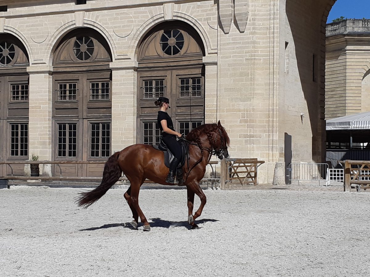 Musée vivant du Cheval - Grandes Écuries du Château de Chantilly