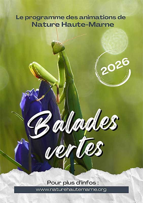 ANNULÉ - Balades Vertes en Haute-Marne : Rendez-vous avec les oiseaux migrateurs