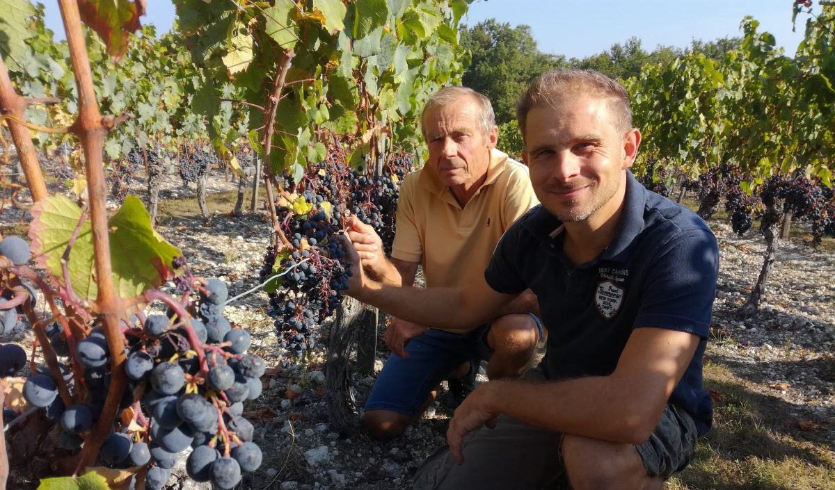 Domaine Pejusclat