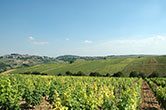 Aurore Dezat - Domaine des Chasseignes