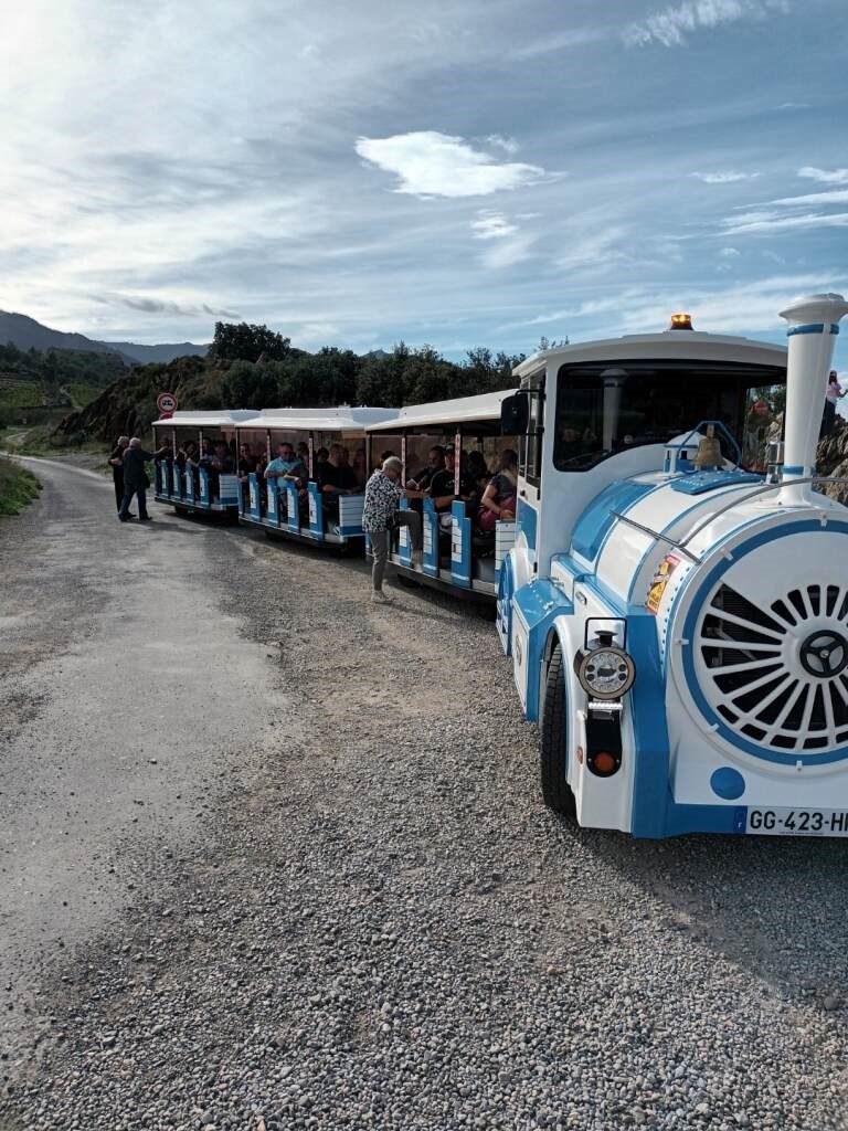 PETIT TRAIN TOURISTIQUE