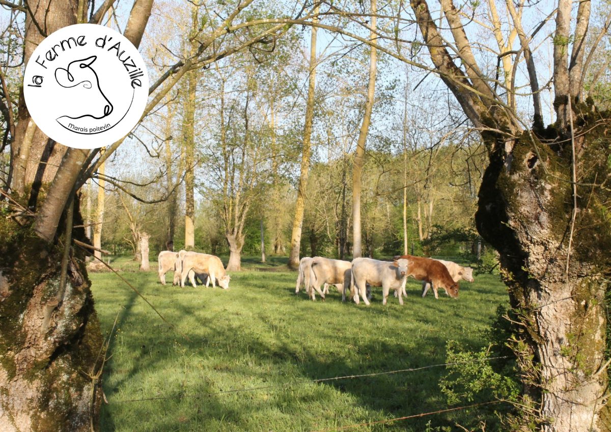 La Ferme d'Auzille