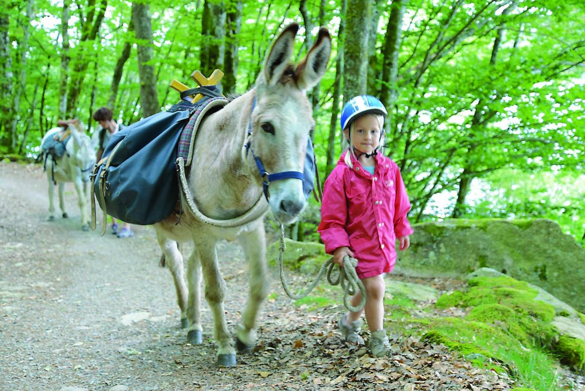 Ferme pédagogique Les Ânes de Vassivière