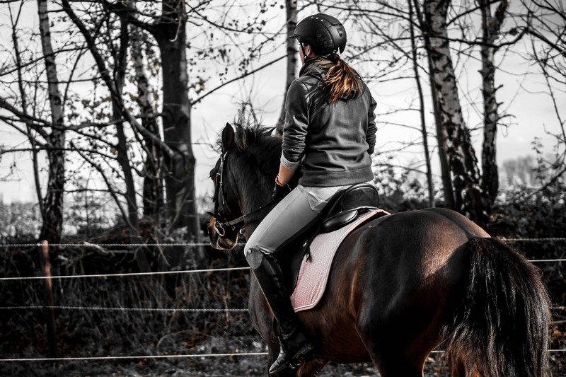 Centre Equestre du Val de Sienne