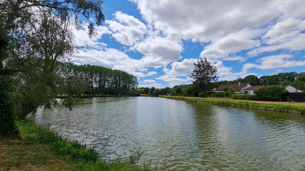 Etangs communaux de Saint Florent le Jeune