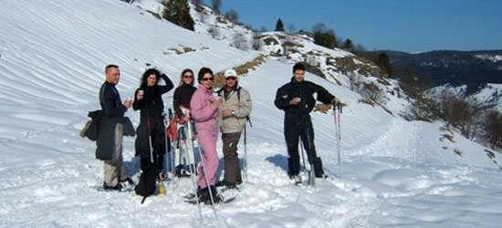 Sorties nature hivernales avec le montagnard