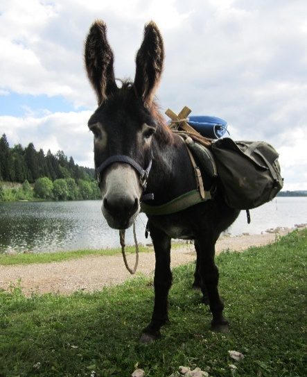 Rando Âne Jura