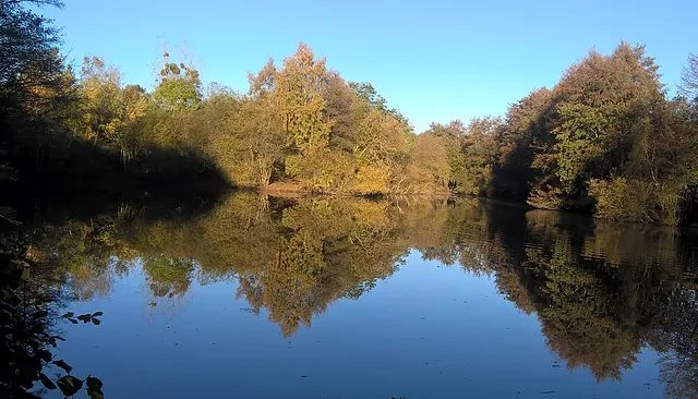 Pêche sur les étangs de Beaulieu