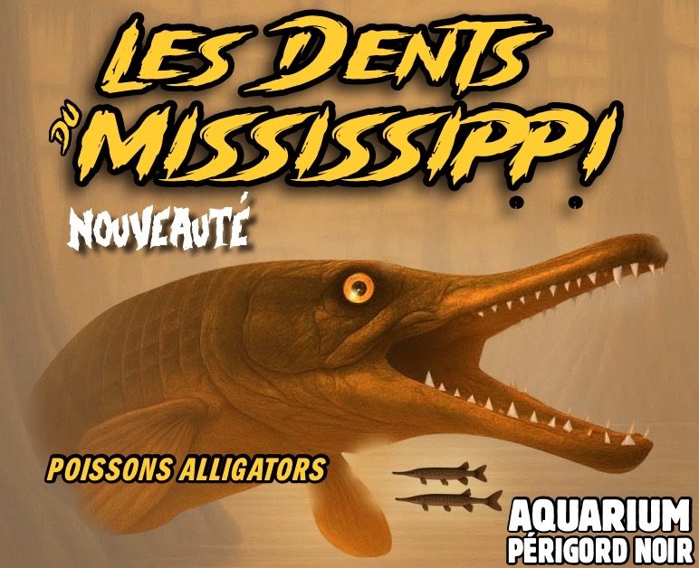 Aquarium du Périgord Noir - Univerland Le Bugue