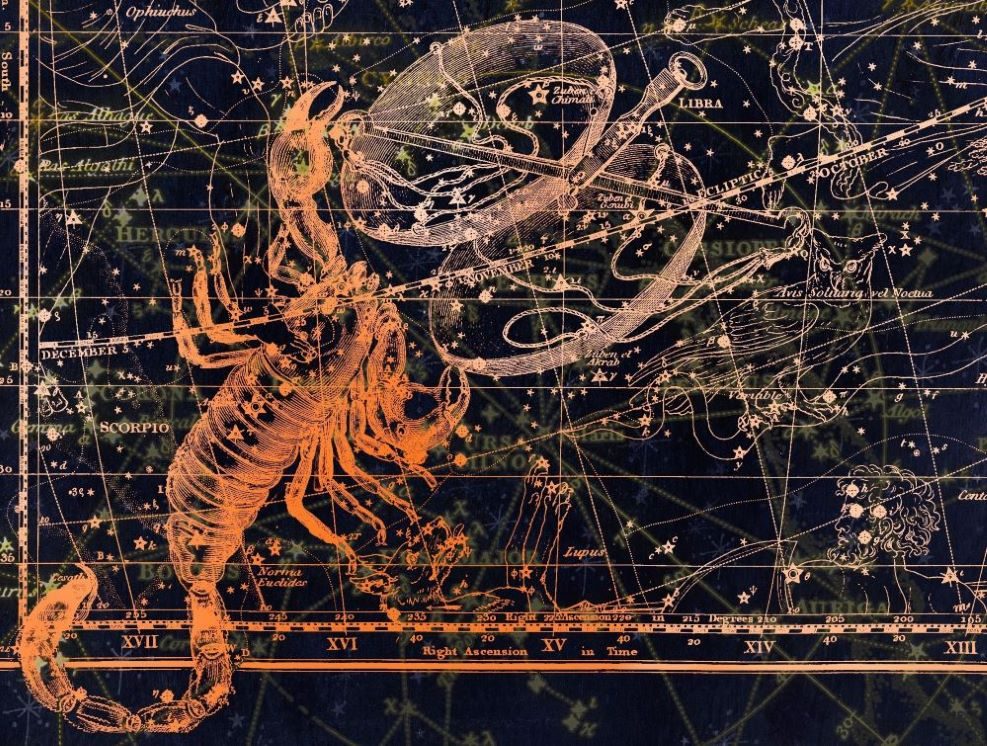 Atelier Astrologie  : Présentation du Signe du Scorpion