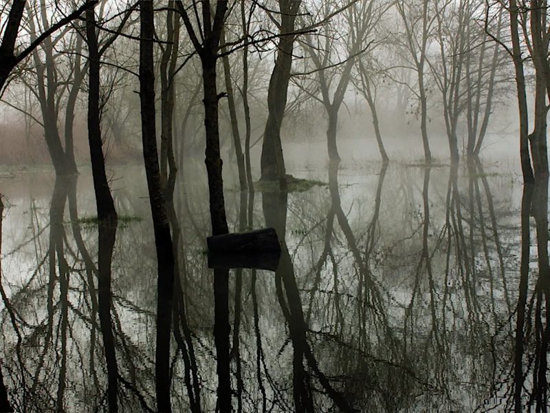 Cité des paysages - Moselle sauvage