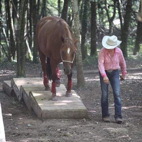 NAHANI RANCH Mountain Trail
