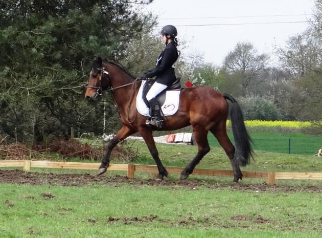 Poney Club de la Metairie de Sort