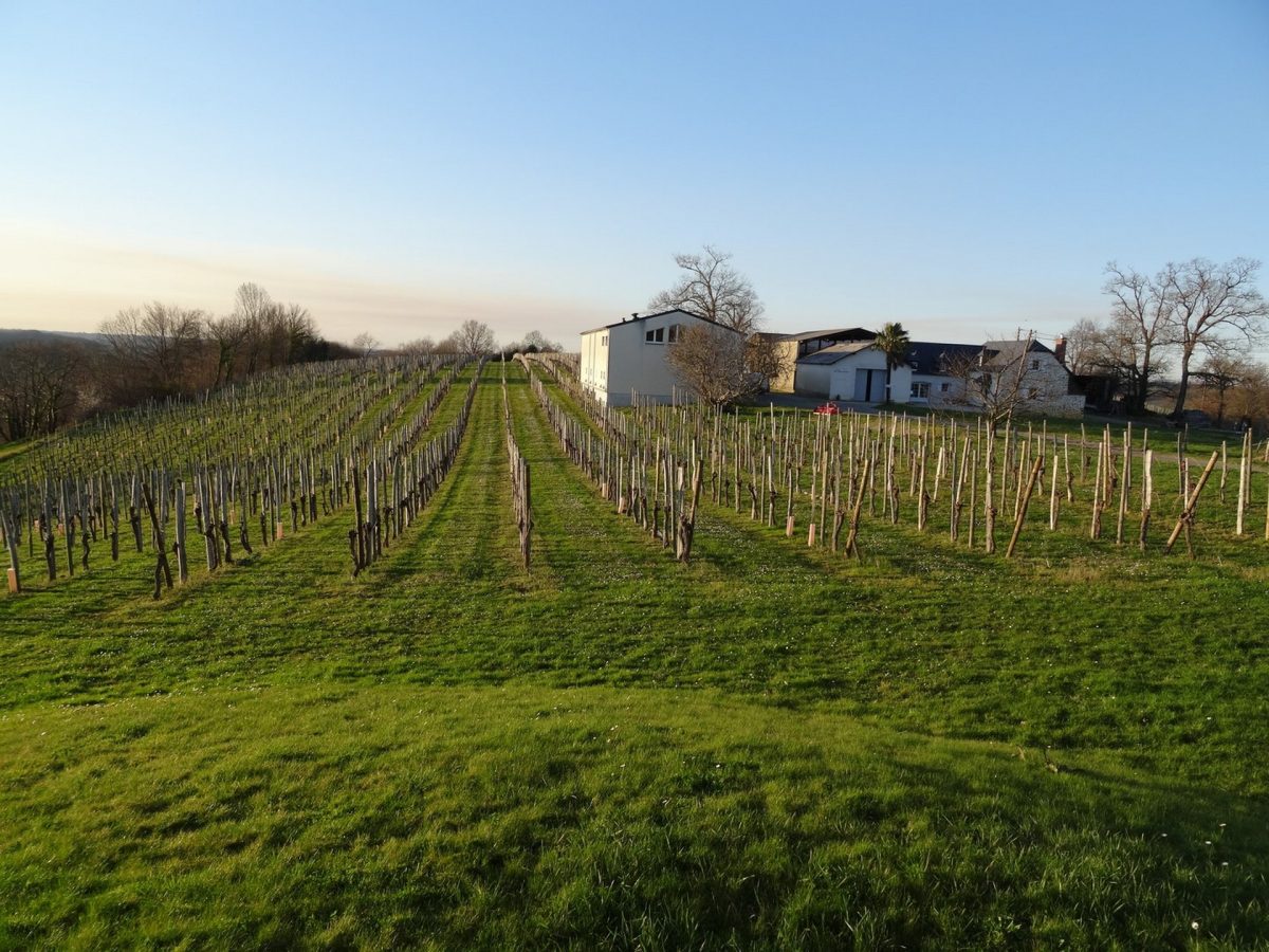 Domaine Montaut
