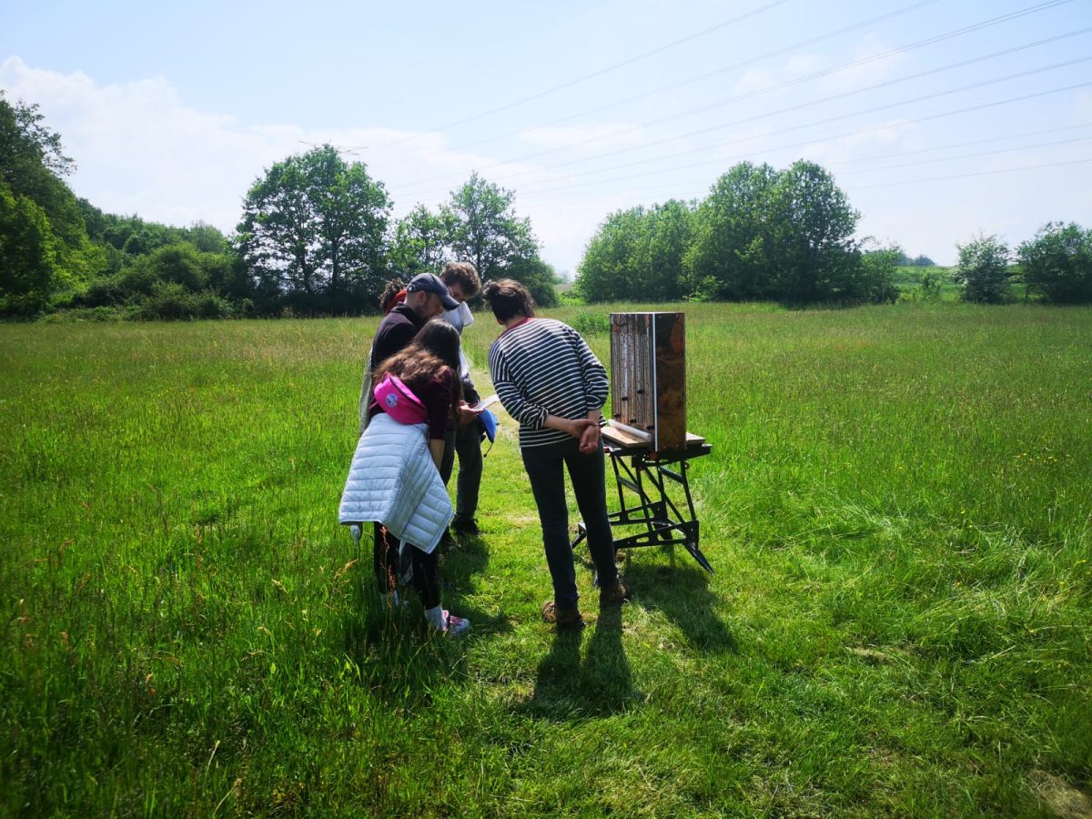 Escape game à la ferme pédagogique les clés de la ferme