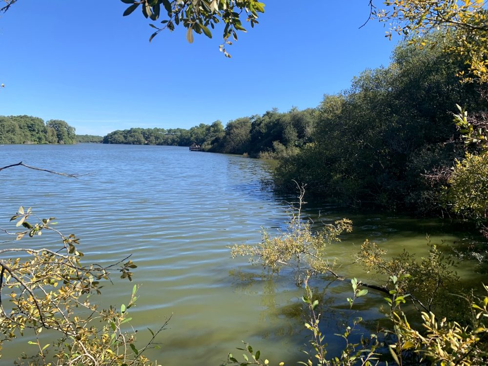 Les visites guidées de la Réserve Naturelle de l'Etang Noir