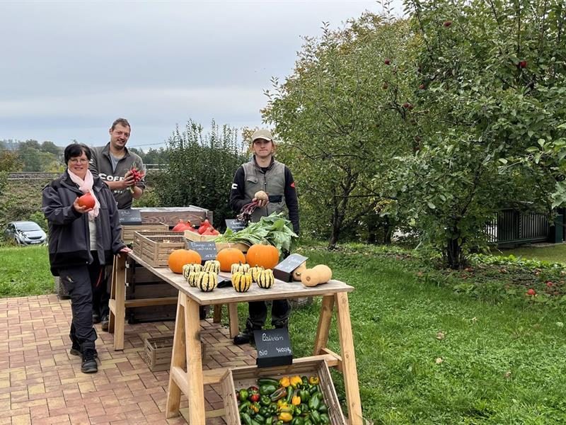 Les Ateliers du Herrenfeld - ESAT d'Ingwiller