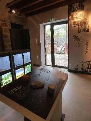 Espace des Enfarinés - Collection de minéraux et de fossiles