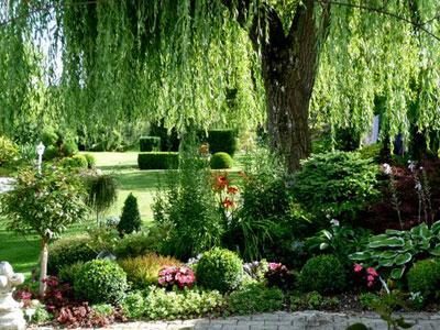 Le jardin du Presbytère