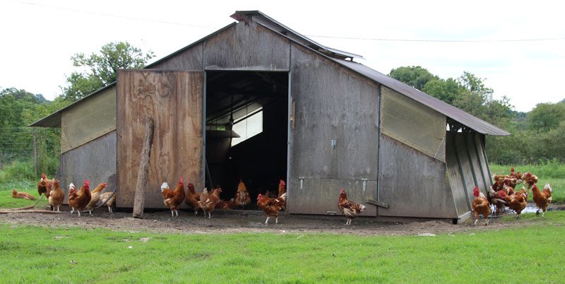 Ferme du Pré Vert