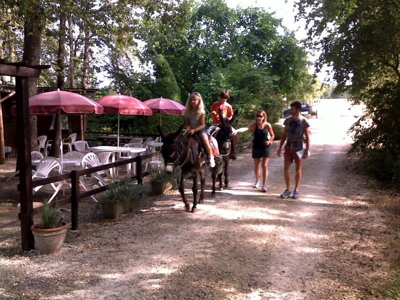 Auberge du Camping de la Vallée de Gardeleau