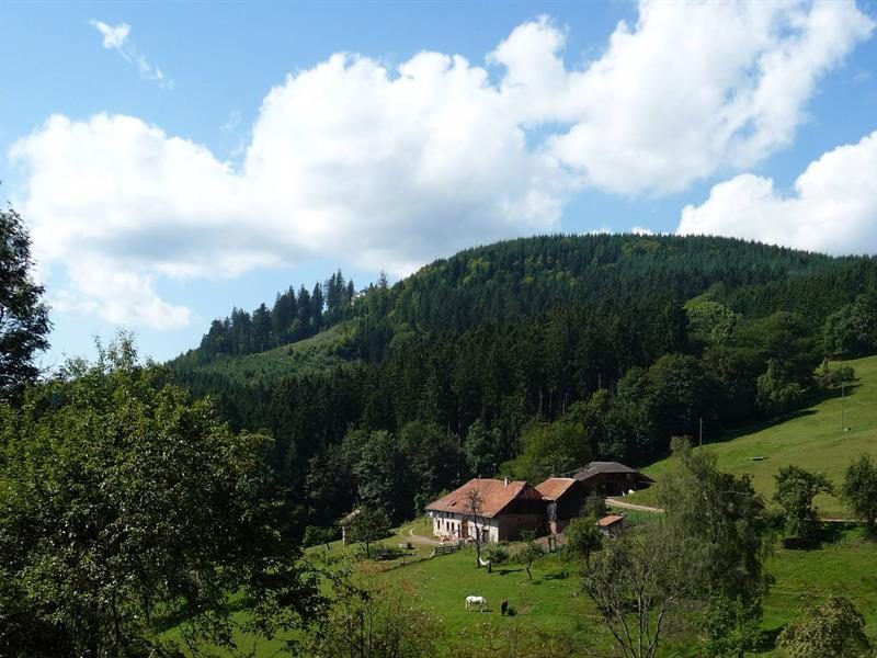 Ferme équestre du Chauffour