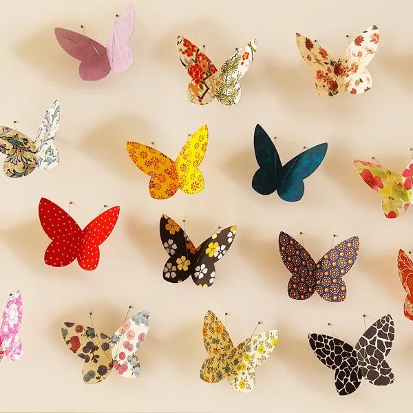 Les Papillons de Conques
