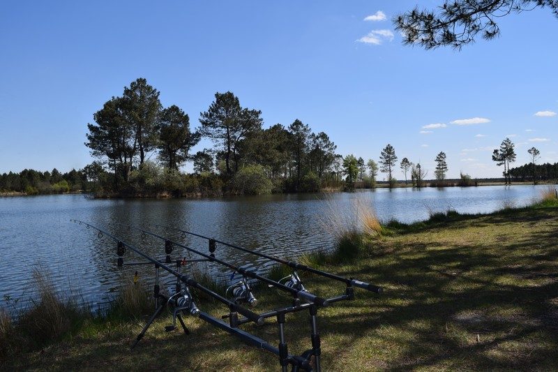 Etang de Beauchamps