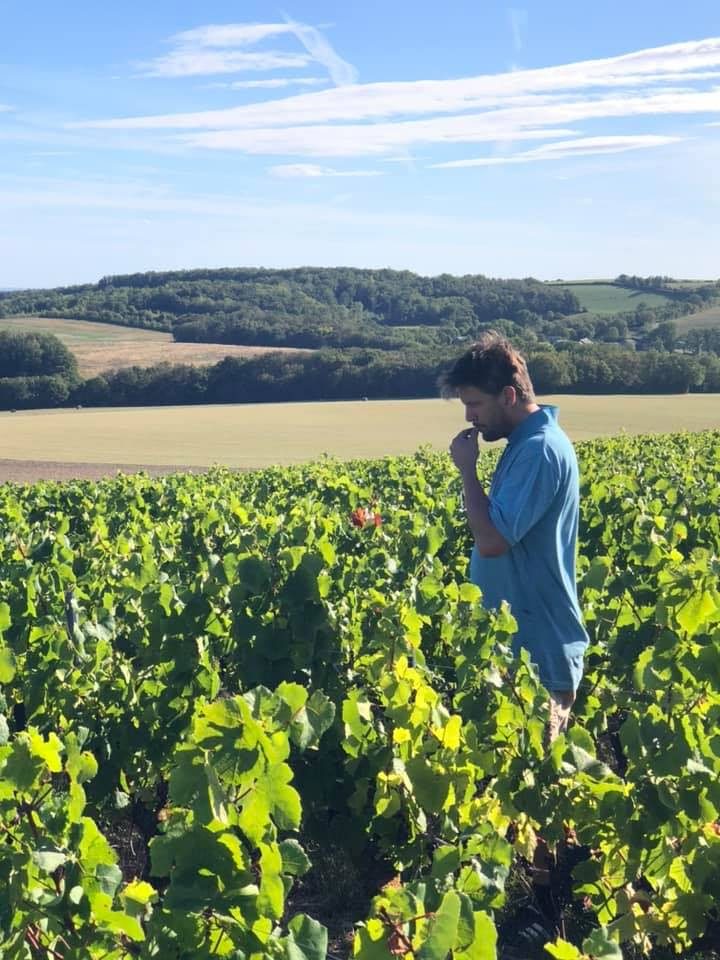 Le Prieuré de Saint-Céols AOC MENETOU-SALON