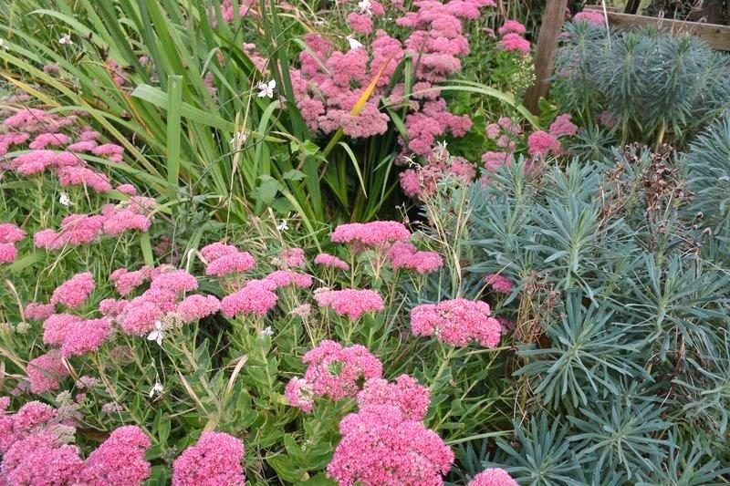 Au jardin d'Olivet