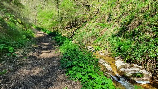Randonnées pédestres au départ de St Geniez d'Olt