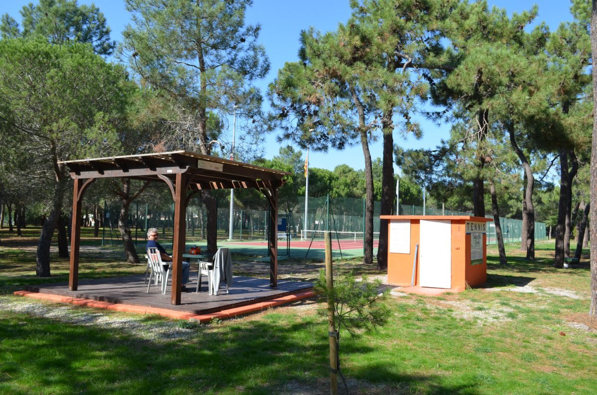 FOREST PIN'S TENNIS
