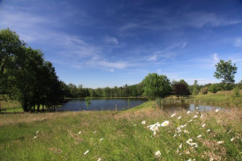 Étang municipal à Champs-Romain