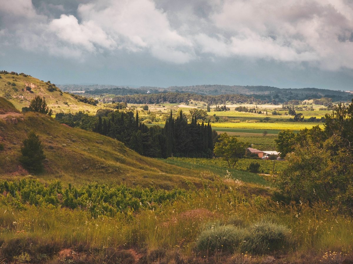 DOMAINE PUJOL