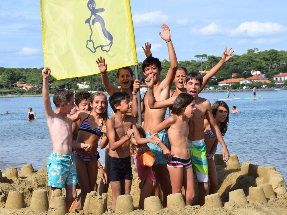 Club des Pingouins