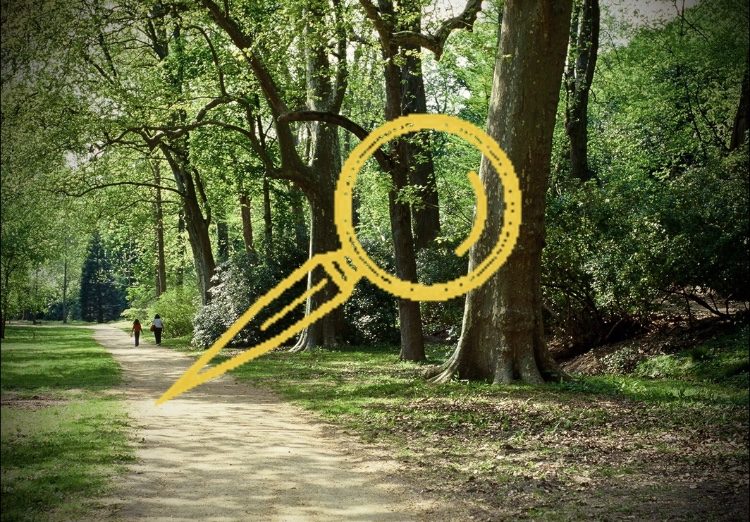 Les parcours à énigmes des Espaces Naturels Sensibles du Loiret