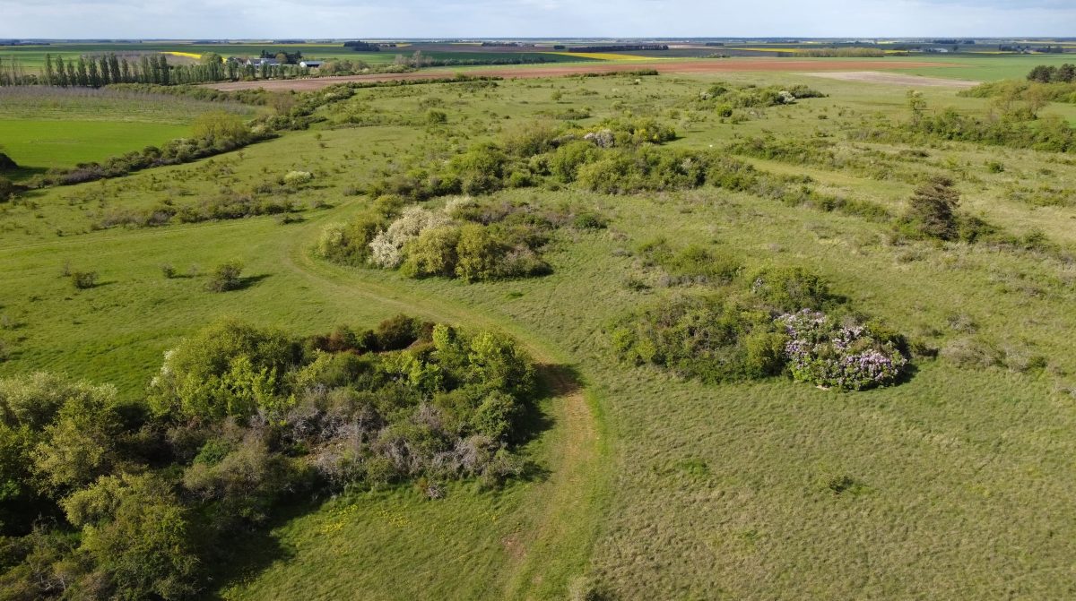 Sorties nature accompagnées avec le Conservatoire d'Espaces Naturels de Loir-et-Cher