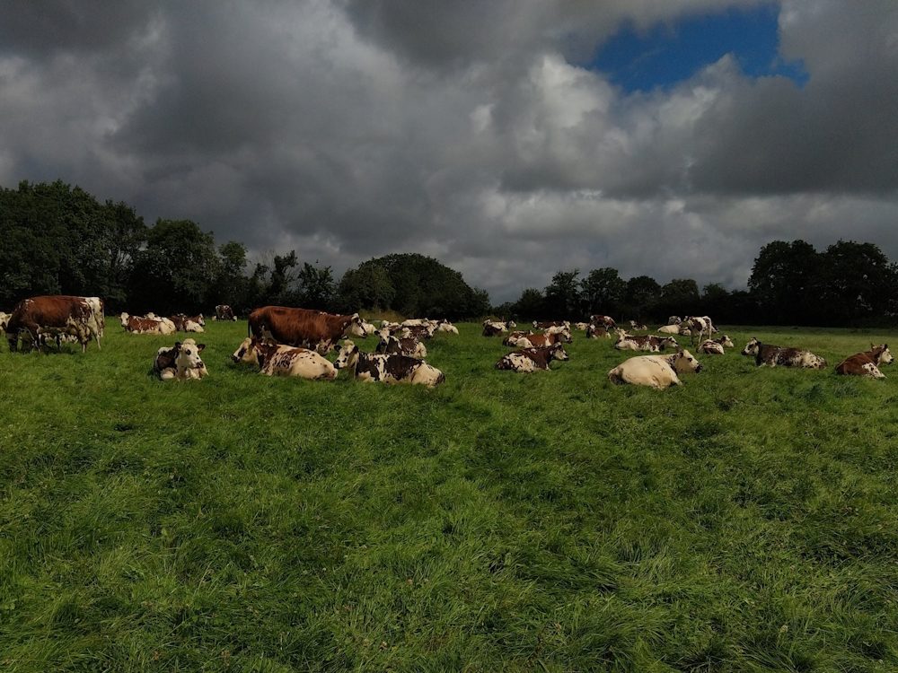 Ferme de la Platière